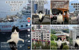 駐京觀察：貓咪「霸屏」政務新媒體 火遍全網