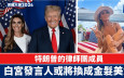 特朗普當選｜金髮美女辯護律師成白宮發言人熱門人選