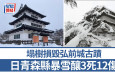 遊日注意｜青森縣暴雪釀3死12傷  弘前城古蹟遭塌樹壓毀