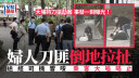 大埔搶劫｜事發一刻曝光 婦人刀匪倒地拉扯 途經司機響咹乘客大嗌喝止