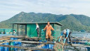 月理萬機 - 漁業提升基金推動貝類養殖發展｜月理萬機