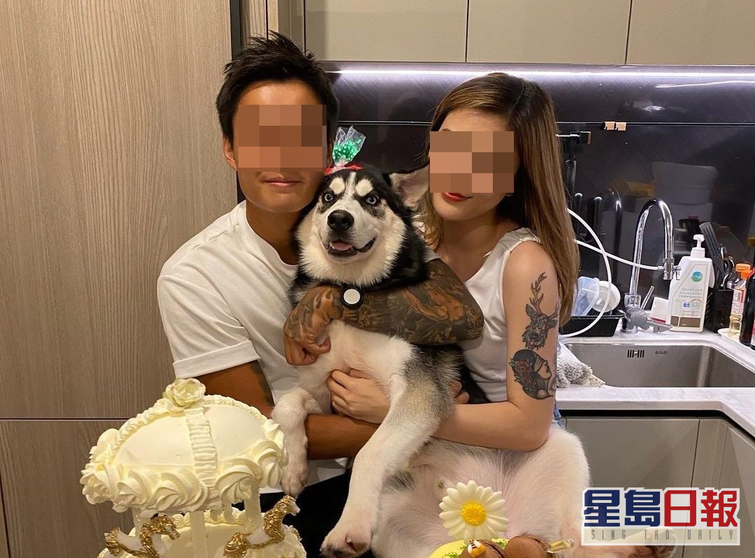 元朗情侶疑虐打雪撬犬據報涉殘酷虐待動物被捕 星島日報