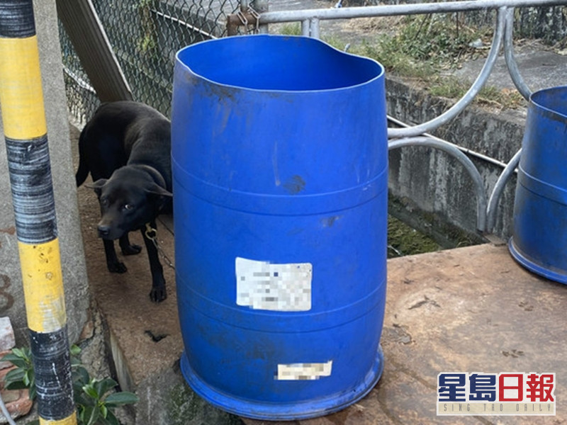 台中警方揭兩宗桶屍命案16歲少女欠債遭灌水泥蓋屍 星島日報 台中警方揭兩宗桶屍命案16歲少女欠債遭灌水泥蓋屍 星島日報