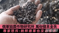 俄烏局勢|俄軍毀植物研究所萬份樣本 專家:比納粹德軍更惡劣