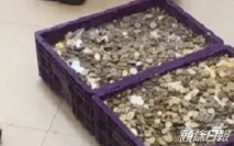 瀋陽餐廳逼女員工離職 兩大筐硬幣作賠償金
