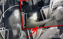 黑龍江老翁嫌巴士開得慢 買餸車擊暈司機