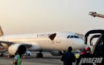 印度客機遭蜂群「攻擊」 機身看似破了個大黑洞