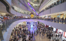 【東奧游泳】何詩蓓晚上出戰兩賽事 市民商場觀賽