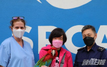 金鋼鸚鵡飛走2日後被愛協尋獲 與主人重聚