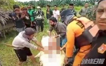 印尼8歲童7.9米長遭鱷魚生吞 父救人失敗翌日剖腹見全屍
