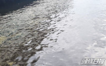紅潮持續蔓延 尖沙嘴海面現黃白色泡沫