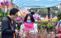 【煞停花市】傳政府轉軚 改研各區辦濕貨年宵