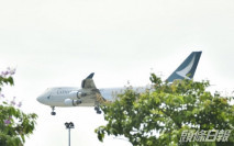 衞生署禁菲律賓出發國泰客機及印度出發Vistara客機抵港