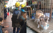 【封佐敦四街】排檔檔主憂貓隻斷水糧兩日 消防剪鎖救出25歲貓女