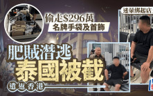 迷暈賊劫$300萬名牌袋｜30歲內地男落網 警起回大部份贓物