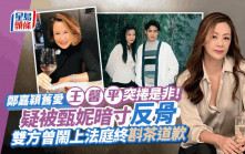 鄭嘉穎舊愛王馨平突捲是非！疑被甄妮暗寸反骨 雙方曾鬧上法庭終斟茶道歉