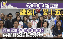 區議會選舉2023︱新民黨議席「一變十五」  葉劉：大豐收1500%增長