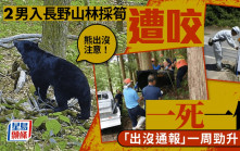 熊出沒注意 | 長野2男採竹筍遇襲1死1傷 熊出沒通報一周暴增4倍