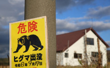 日本連環「熊出沒」︱青森七旬婦遇襲受傷   北海道「殺人熊」疑再現