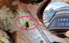 上海山姆超市｜壽司食出昆蟲  稱「不是烏蠅是蜜蜂」拒不檢測賠償了事