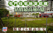屯門住宅地突招標 估值最高逾6億 擬建26層高住宅