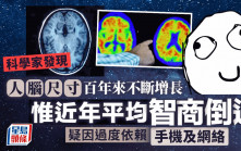 科學家發現人腦尺寸百年來不斷增長 惟近年平均智商倒退