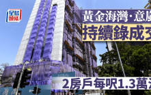 黃金海灣．意嵐持續錄成交  2房每呎1.3萬沽