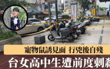 台男以寵物鼠誘前度見面  成績優異女高中生被刺胸身亡