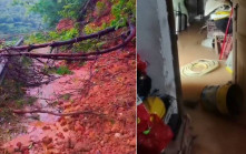 蝴蝶颱風︱廣西玉林大暴雨  山泥傾瀉埋3人全罹難