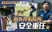 懲教署警衛犬隊肩負捍衛院所安全重任 警衛犬巡邏堅守秩序 嗅查犬精準辨識違禁品 