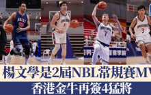 NBL│香港金牛再簽4猛將 包括兩屆NBL常規賽MVP楊文學