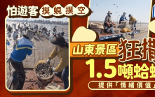 山東景區驚遊客摸蜆空手歸 狂撒1.5噸蛤蜊提供「情緒價值」 | 有片
