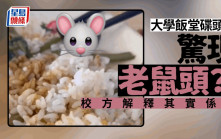 學院飯堂食出老鼠頭？ 校方澄清「異物」原來係......