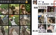 大学生毒杀20流浪猫  遭撤销考公务员资格