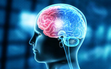 醫學新研究：大腦中毒素不因睡眠足而能去除 但運動能