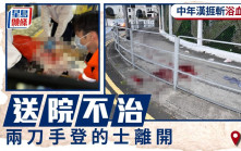 火炭男子捱斬浴血街頭亡 兩刀手登的士逃離 警列謀殺交反黑組跟進