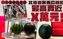 一年僅產100個 北海道黑西瓜首拍最高價近4萬港元