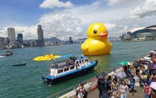 星島頭條Live｜展出首日即漏氣 橡皮鴨倒臥維港