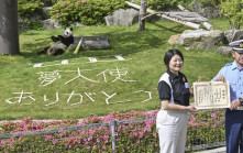 和歌山大熊貓｜「夢大使」宣導交通安全 獲縣警頒發感謝狀