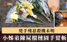 小姊弟相擁死去手臂斬斷 外出玩耍卻陳屍榴槤園 兇手動機未明