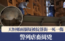天恒邨兩貓疑被掟落街  一死一傷  警列虐畜調查