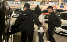 葵涌停車場驚現偷車犯 警連日埋伏拘兩男 揭司機套假牌兼無牌駕駛