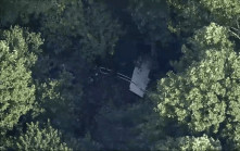 美國新澤西州小型飛機衝出跑道撞入叢林　機上15人全部受傷送院