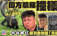 抖音網紅撞臉「方臉猴」親赴動物園朝聖「認親」　