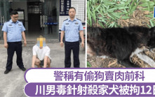 川男自製毒劑射殺家犬遭拘12天 警：有偷狗賣肉前科