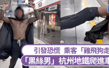 杭州地鐵｜「黑絲男」爬車廂  乘客恐慌「雞飛狗走」｜有片