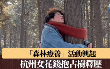 「森林療養」活動興起 杭州女花錢抱古樹釋壓