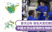 中國太空站發現微生物新物種 取名「天宮尼爾菌」