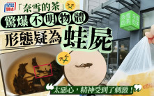 奈雪的茶疑喝出蛙屍  事主：已喝幾口，太惡心