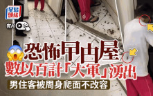 台灣恐怖曱甴屋慎入片流出   男住客唔理爬身淡定入屋